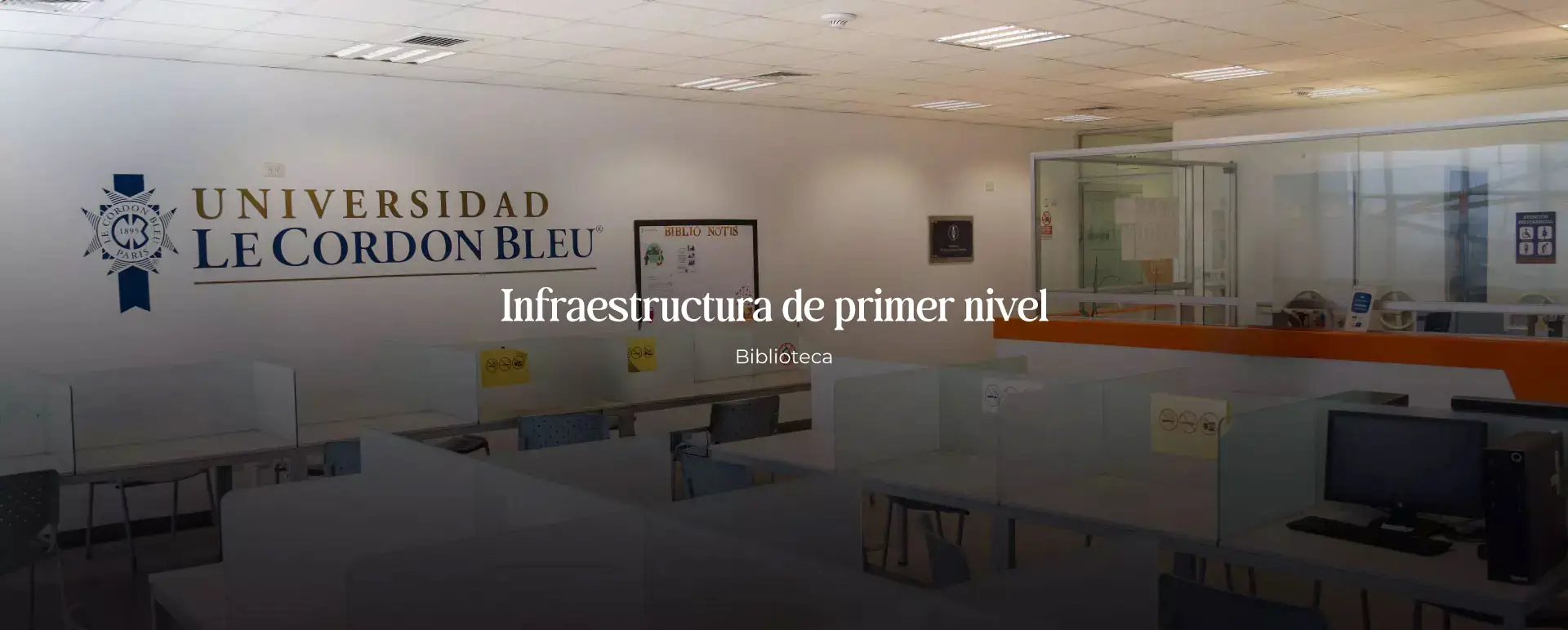 infra4