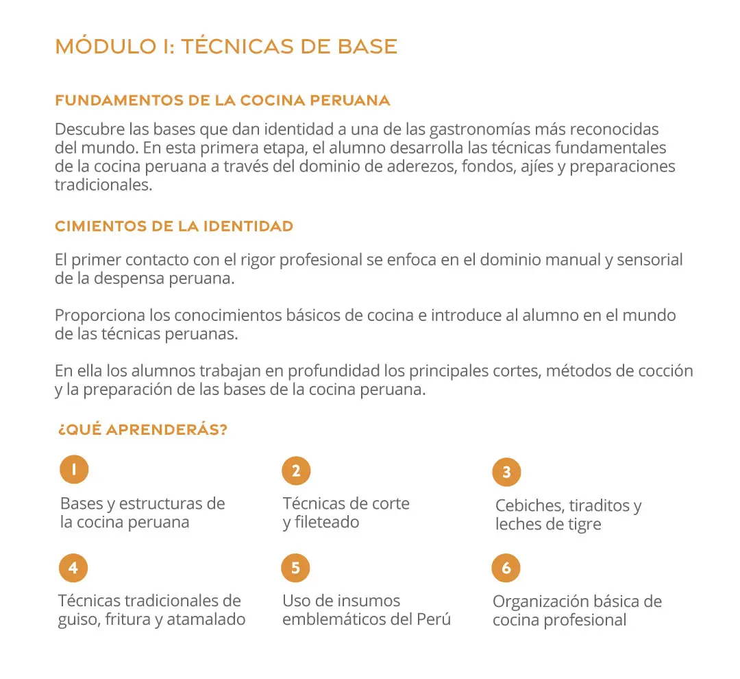 modulo1d-m.jpg.jpeg