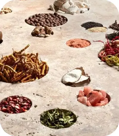 Excursiones guiadas en Lima