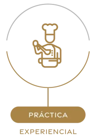 practica-experiencial.png